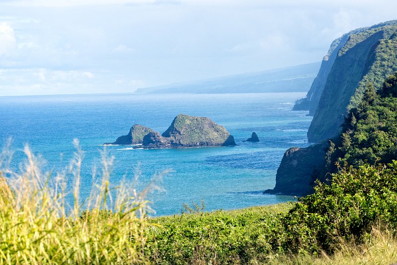 20140110_151731 D800-Edit.jpg - Pololu Valley Lookout, Hawaii